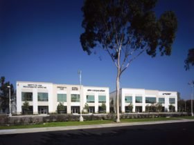 Acacia & Cypress 003